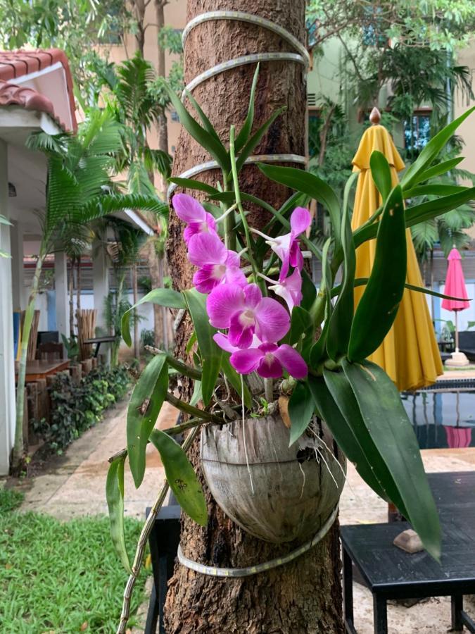 Angkor Magic Tree Boutique Hotel Siem Reap Exterior foto