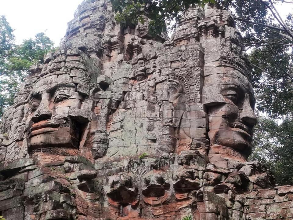 Angkor Magic Tree Boutique Hotel Siem Reap Exterior foto