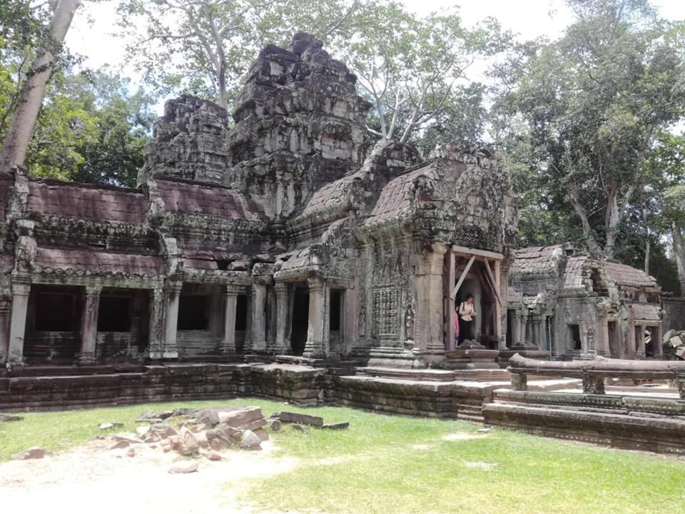 Angkor Magic Tree Boutique Hotel Siem Reap Exterior foto